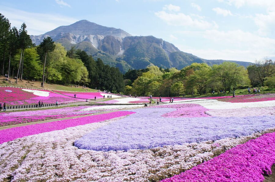 From Tokyo: Seibu Railway 1 Day Pass and Nagatoro - Kawagoe: the simplest cultural choice