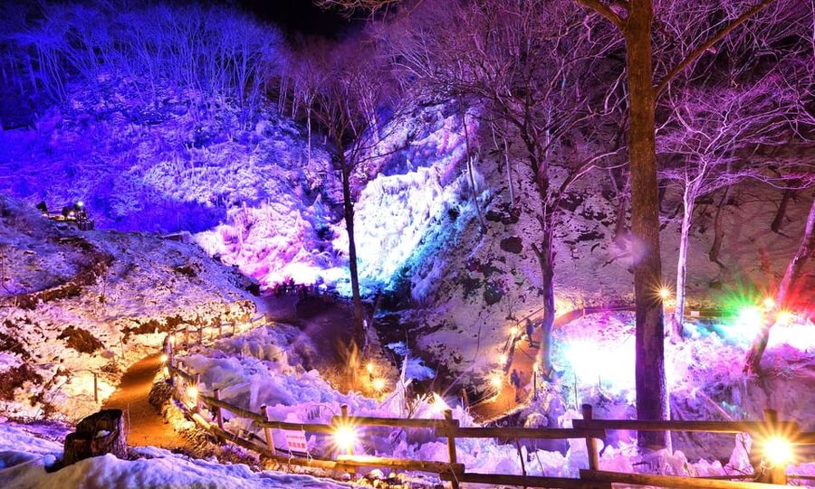 From Tokyo: Seibu Railway 1 Day Pass and Nagatoro - Chichibu and Hitsujiyama Park