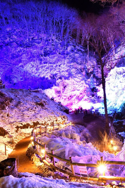 From Tokyo: Seibu Railway 1 Day Pass and Nagatoro - Choosing between Kawagoe, Chichibu, and Nagatoro
