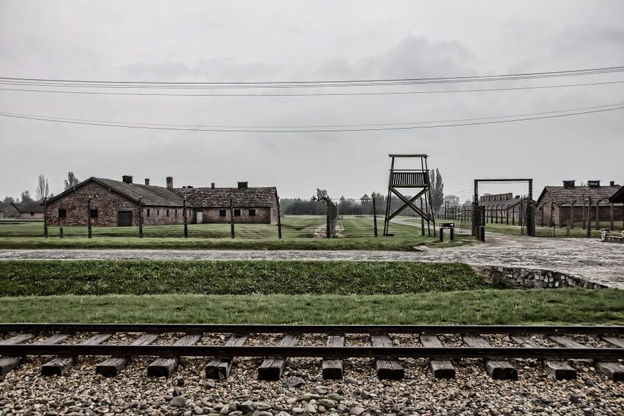 From Warsaw: Auschwitz-Birkenau Guided Tour with Fast Train - What the guide adds to a difficult place