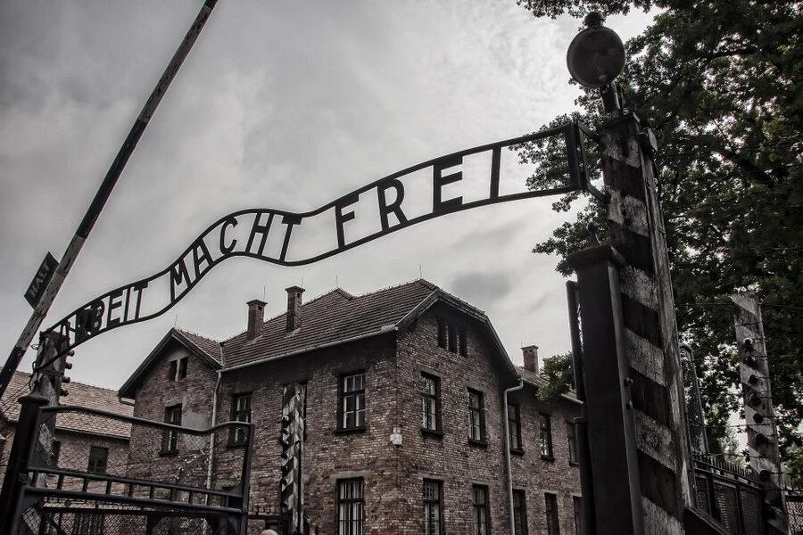 From Warsaw: Auschwitz-Birkenau Guided Tour with Fast Train - The transport service and how it affects the day