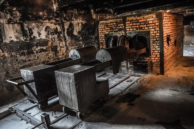 From Warsaw: Auschwitz-Birkenau Tour with Premium Train Transportation - Who will get the most from this experience?