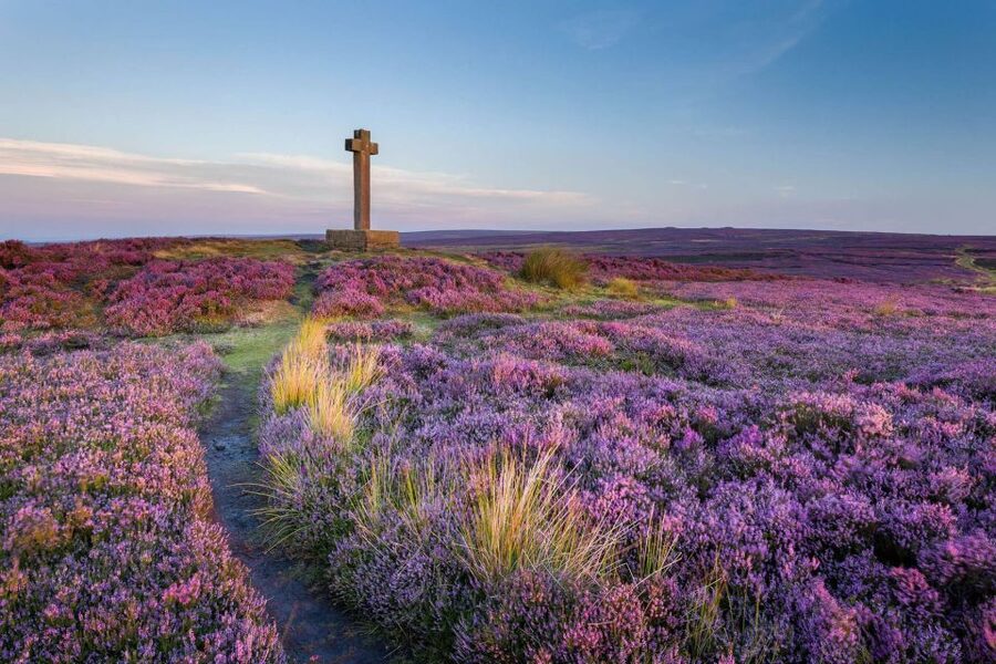 From York: Moors, Whitby, and the Yorkshire Steam Railway - Comfort, group size, and practical points