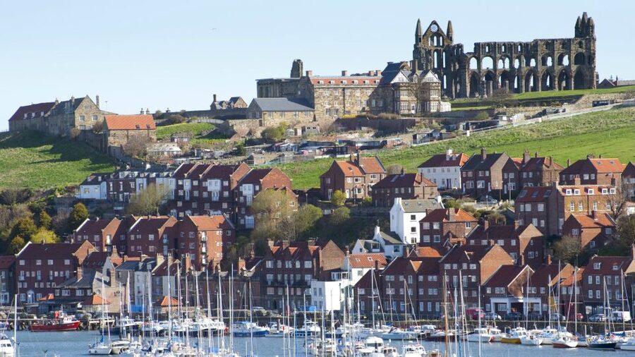 From York: Moors, Whitby, and the Yorkshire Steam Railway - Who should book this York day trip?