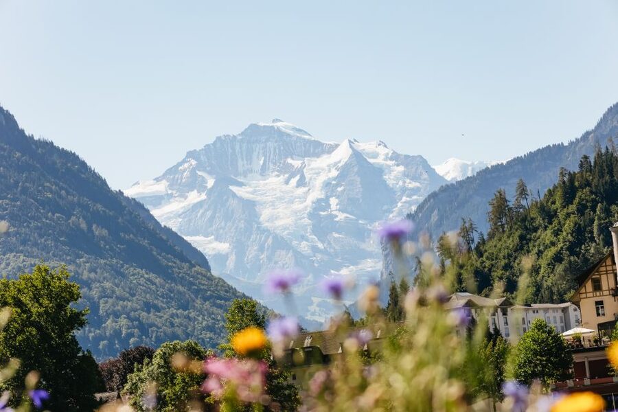From Zurich: Day Trip to Jungfraujoch - Top of Europe - Is $367 a fair price?