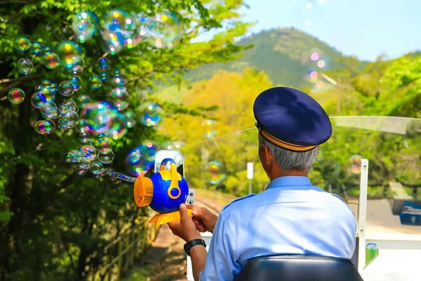 Fukuoka: Takachiho Gorge, Amano Iwato & Scenic Train Tour - Key points to know before booking