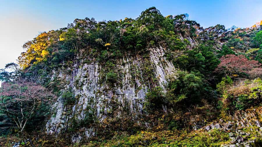 Fukuoka: Takachiho Gorge & Scenic Railway One Day Tour - What the $44 price really includes