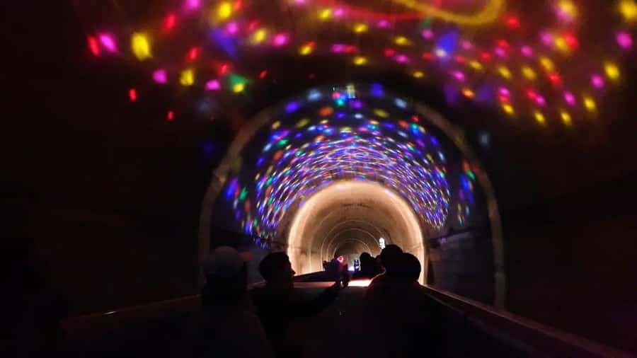 Fukuoka: Takachiho Gorge & Scenic Railway One Day Tour - Who will enjoy this Kyushu outing most?