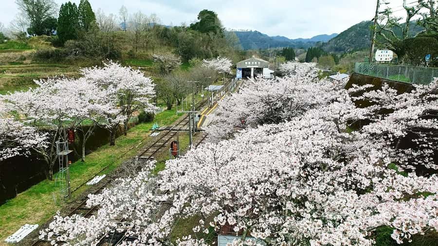 Fukuoka: Takachiho Gorge & Scenic Railway One Day Tour - Should you book the Takachiho day trip?