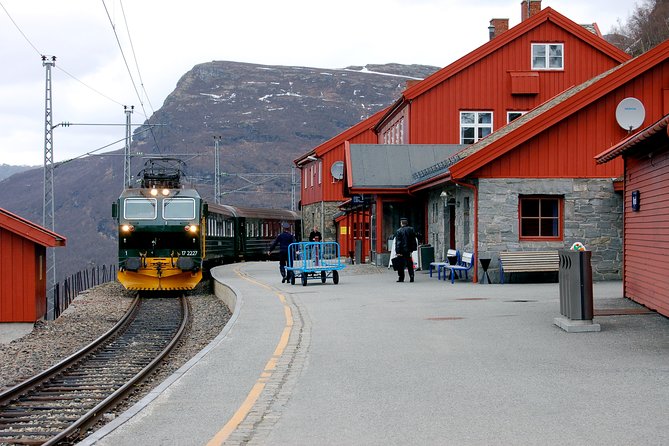 Full Day Guided Roundtrip From Bergen To Sognefjord With Flam Railway - What you are paying for at $969.60