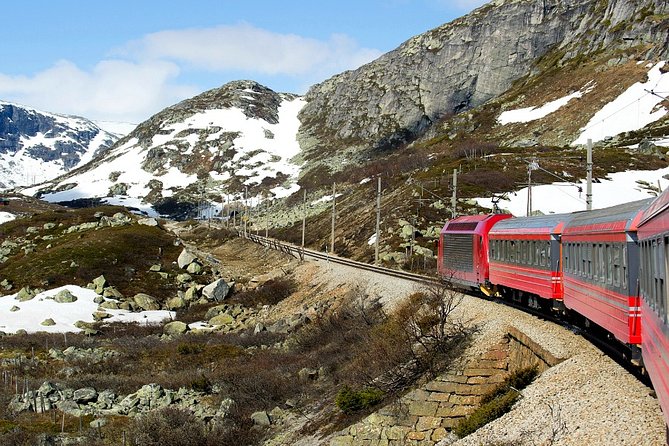 Full Day Guided Roundtrip From Bergen To Sognefjord With Flam Railway - Flåm: a short stop before the railway