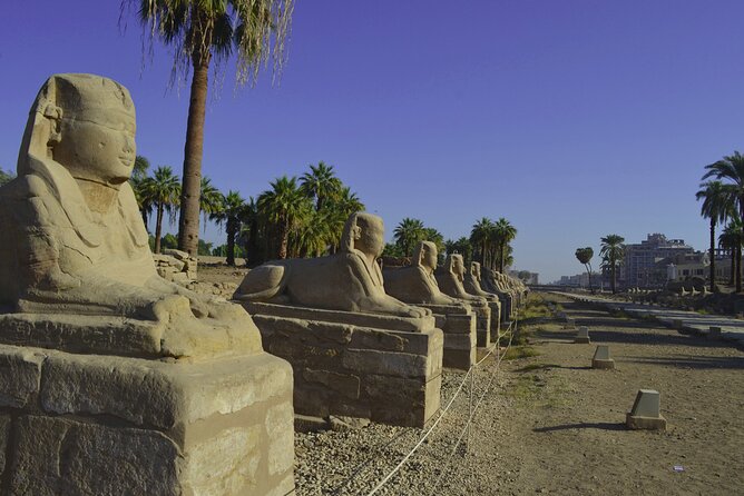Full day Luxor tour from Cairo by a sleeper train - The Colossi of Memnon, a quick first stop