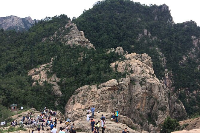 Full-Day Tour in Mt. Seorak & Nami (+Rail Bike Option) - Why this day trip works from Seoul