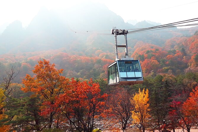 Full-Day Tour in Mt. Seorak & Nami (+Rail Bike Option) - The Gapyeong rail bike ride
