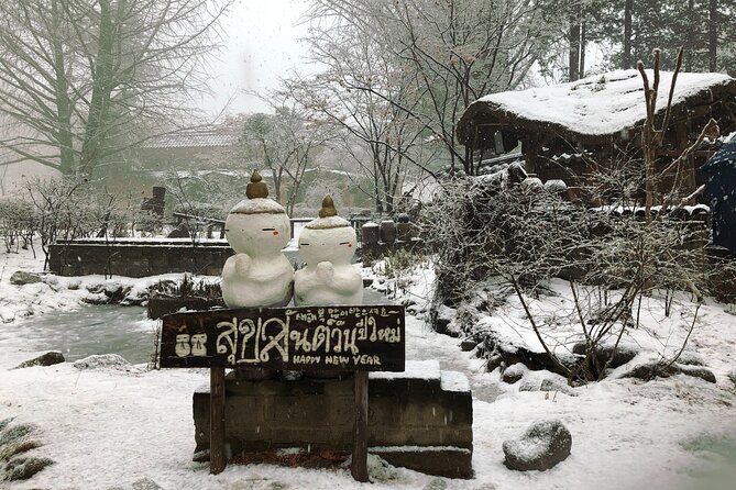 Full-Day Tour in Mt. Seorak & Nami (+Rail Bike Option) - Weather and seasonal planning