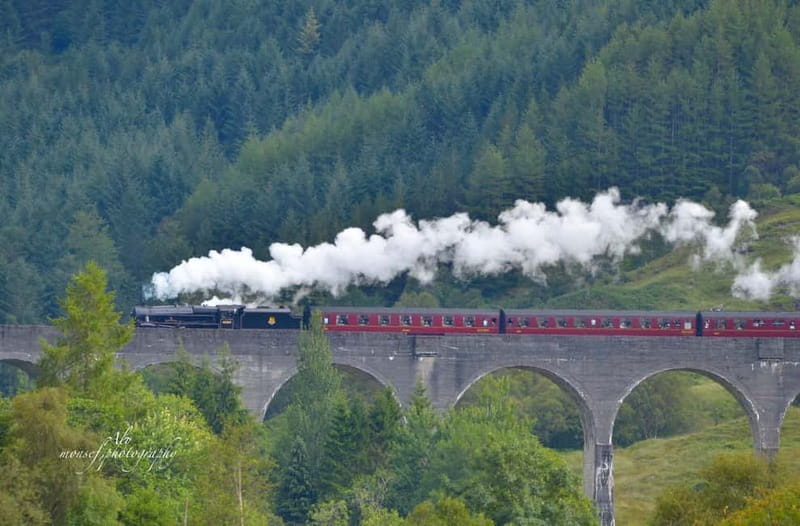 Glenfinnan: Glenaladale cruise, see the train and eagles 2hr - Setting out from Glenfinnan jetty