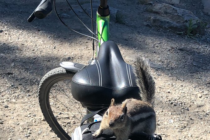 Guided Bike Tour on Historical Kettle Valley Railway at Myra Canyon & Wine Tour - Riding the old Kettle Valley Railway at Myra Canyon