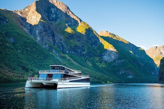 Guided tour to Viking Village, Nærøyfjorden Cruise & Flåm Railway - Changing trains at Myrdal and returning to Bergen