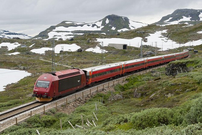 Guided tour - Viking Village, Nærøyfjord Cruise and Flåm Railway - What the $429.48 price really buys