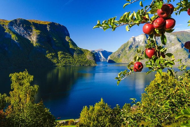 Guided tour - Viking Village, Nærøyfjord Cruise and Flåm Railway - Njardarheimr, a Viking town with limited time