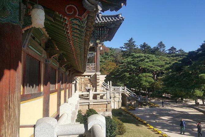 Gyeongju UNESCO Sites Tour by KTX train; The Museum Without walls - Cheomseongdae, where Silla watched the sky
