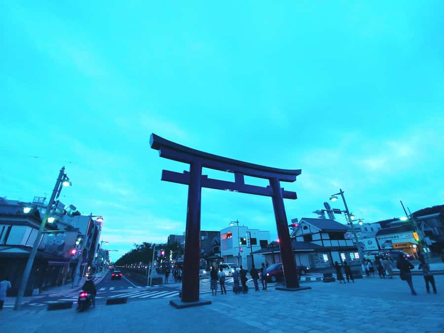 Hakone and Kamakura: 3-day Rail Pass - Starting at Shinjuku, where the trip gets practical