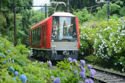 Train Pass with Unlimited Rides & Activity Discounts