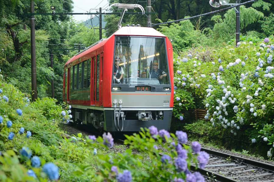 Hakone: Train Pass with Unlimited Rides & Activity Discounts - The transport network that makes Hakone possible