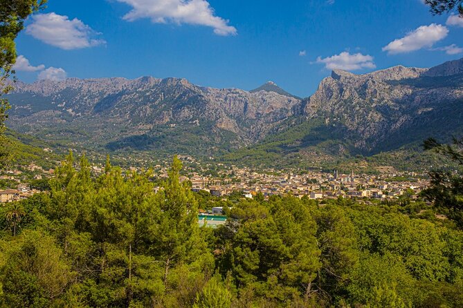 Half Day Guided Tour in Soller Train and Tram - Why this Palma to Sóller route works so well