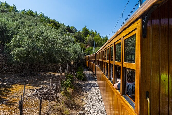Half Day Guided Tour in Soller Train and Tram - Forty minutes in Sóller