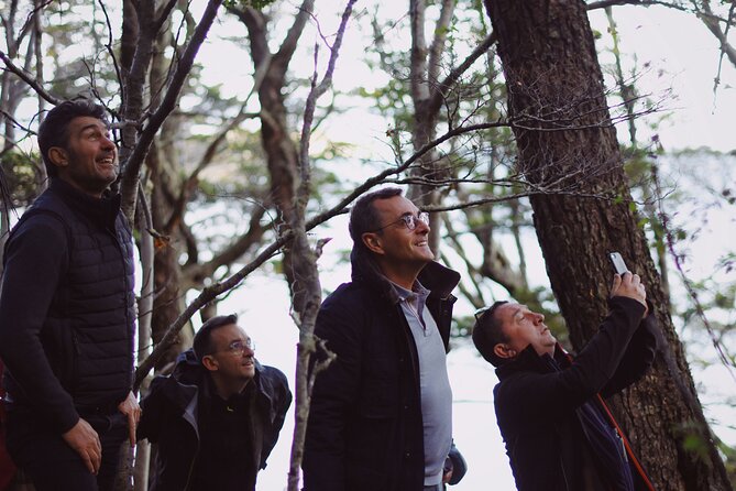 Half-Day Tierra del Fuego National Park with Train - Who should choose this tour?
