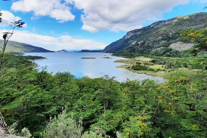 Half-Day Tierra del Fuego National Park with Train - The End of the World Train and its difficult past
