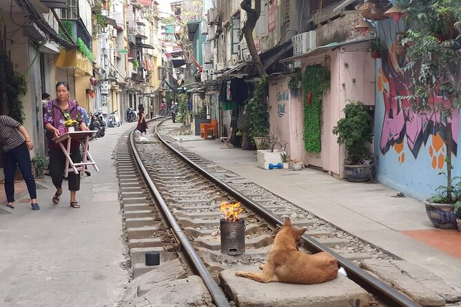 Hanoi Michelin Star Street Food Walking Tour & Train-Street - Miến lươn at Đông Thịnh