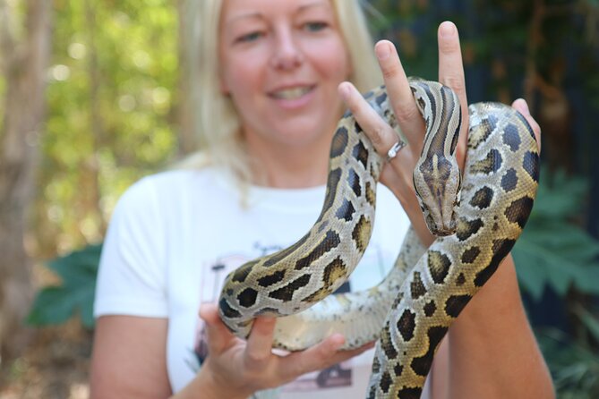 Hartley Crocodile Park with Kuranda, Skyrail Cableway and Train - Skyrail over the Wet Tropics
