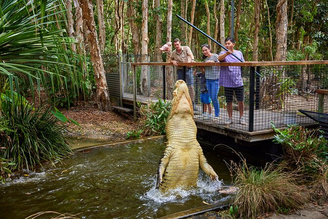 Hartley Crocodile Park with Kuranda, Skyrail Cableway and Train - The Kuranda Scenic Railway through rainforest and tunnels