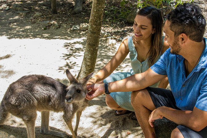 Hartley Crocodile Park with Kuranda, Skyrail Cableway and Train - Returning to Port Douglas around 6:30 PM