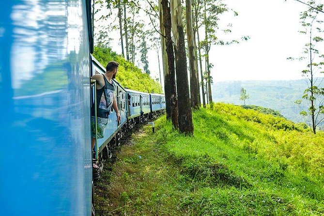 Horton Plains National Park Tour With Scenic Train Ride - Lunch and the Return to Colombo