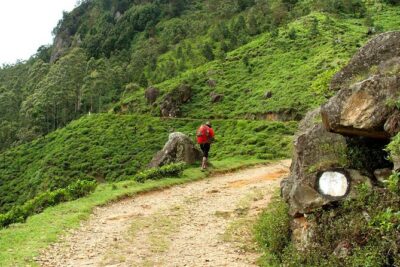 Horton Plains National Park Tour With Scenic Train Ride