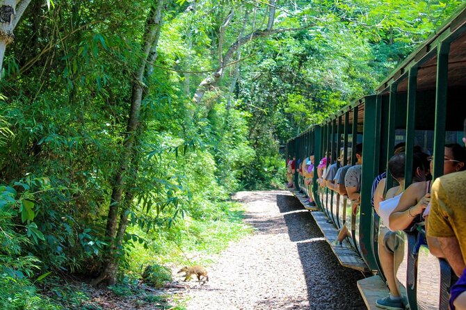 Iguazu Falls: Argentinian Side with Boat Ride, Jungle-truck and Train - The jungle-truck ride through eight kilometers of forest