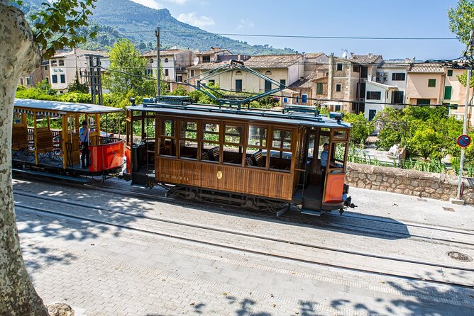 Island Tour with Train Tram Boat and Bus from Cala Millor - The Sóller tram rolls through orange country