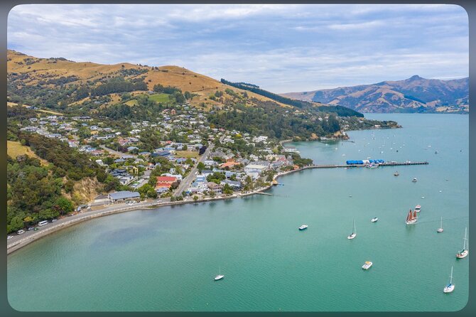 Kaikoura Whale Watch Day Tour from Christchurch including Coastal Pacific Train - The possible Waipara wine stop