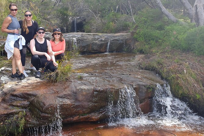Koala & Kangaroos Experience, Waterfalls and Scenic Train Journey - Mount Ettalong Lookout and Pearl Beach