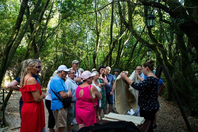 Konavle Valley Wine Tour from Dubrovnik with Train Ride and Wine Tasting - Who will enjoy this afternoon most