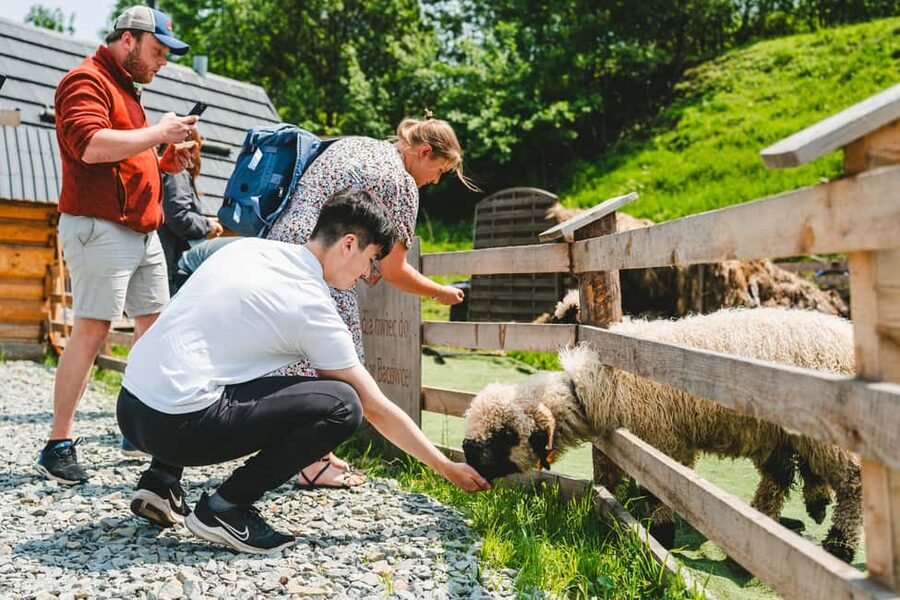 Krakow: Zakopane One Day Trip with Funicular & Thermal Pools - The early start at Pawia 18a