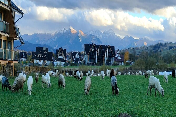 Krakow Zakopane Tour Tatra Mountains and Funicular Car - Zakopane: two hours for town life and mountain culture