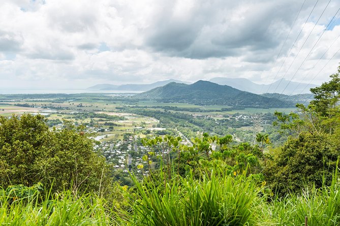 Kuranda Scenic Railway Day Trip from Cairns - Riding the Skyrail above Barron Gorge
