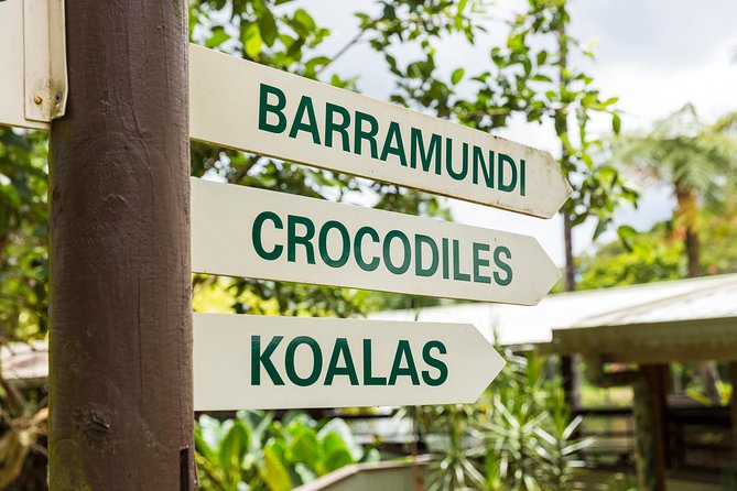 Kuranda Scenic Railway Day Trip from Cairns - Making the most of your time in Kuranda