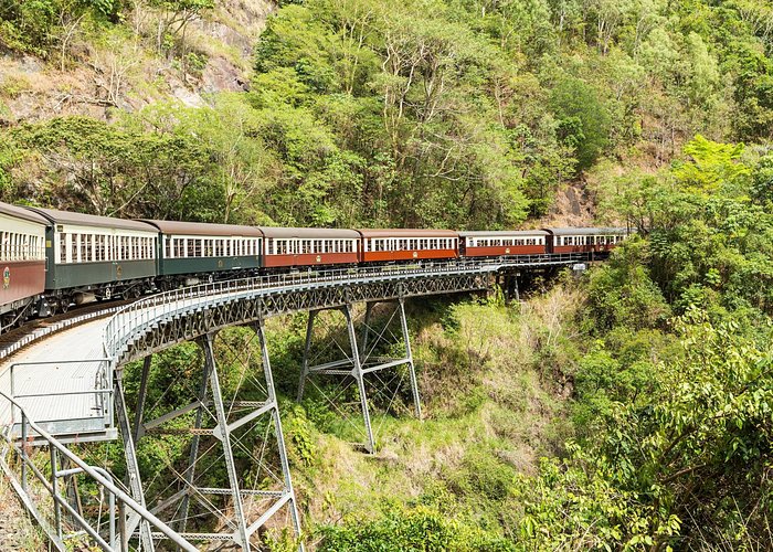 Kuranda Scenic Railway Day Trip from Cairns - Optional wildlife attractions in Kuranda