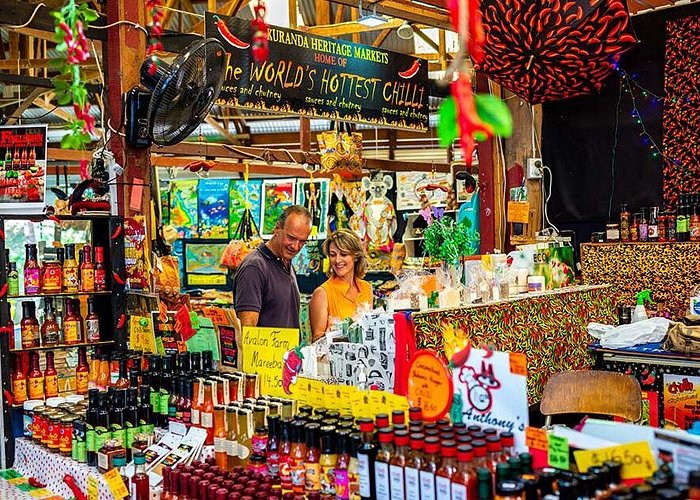 Kuranda Scenic Railway Day Trip from Port Douglas - Should you book the Kuranda Scenic Railway day trip?
