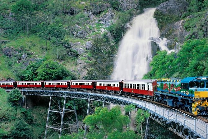 Kuranda Scenic Railway & Skyrail Tour from Port Douglas - The guides and the feel of the day